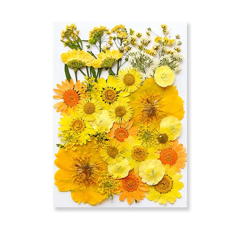 Dried Flowers Real Natural Plant Pressed Flower For Epoxy Resin Filling DIY Keychain Pendant Silicone Mold Jewelry Making Crafts - Paola Center