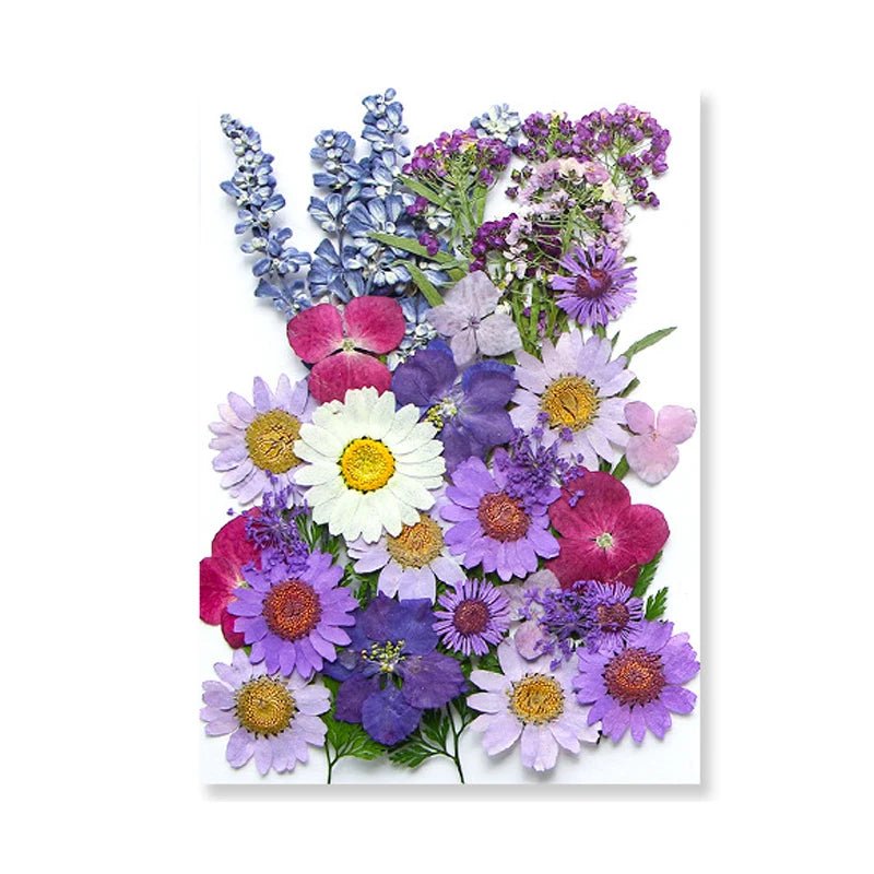 Dried Flowers Real Natural Plant Pressed Flower For Epoxy Resin Filling DIY Keychain Pendant Silicone Mold Jewelry Making Crafts - Paola Center