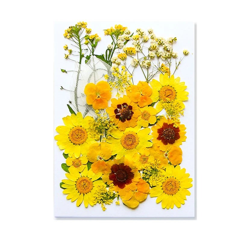 Dried Flowers Real Natural Plant Pressed Flower For Epoxy Resin Filling DIY Keychain Pendant Silicone Mold Jewelry Making Crafts - Paola Center