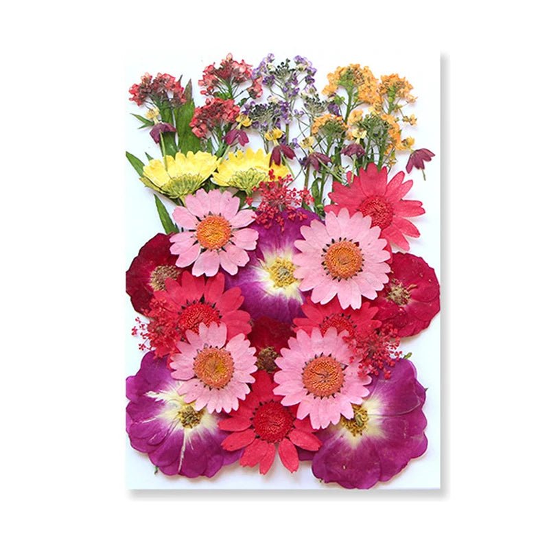 Dried Flowers Real Natural Plant Pressed Flower For Epoxy Resin Filling DIY Keychain Pendant Silicone Mold Jewelry Making Crafts - Paola Center