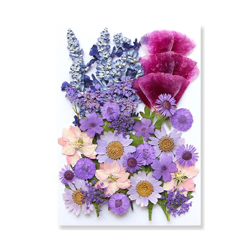 Dried Flowers Real Natural Plant Pressed Flower For Epoxy Resin Filling DIY Keychain Pendant Silicone Mold Jewelry Making Crafts - Paola Center