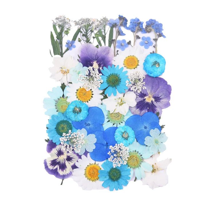 Dried Flowers Real Natural Plant Pressed Flower For Epoxy Resin Filling DIY Keychain Pendant Silicone Mold Jewelry Making Crafts - Paola Center