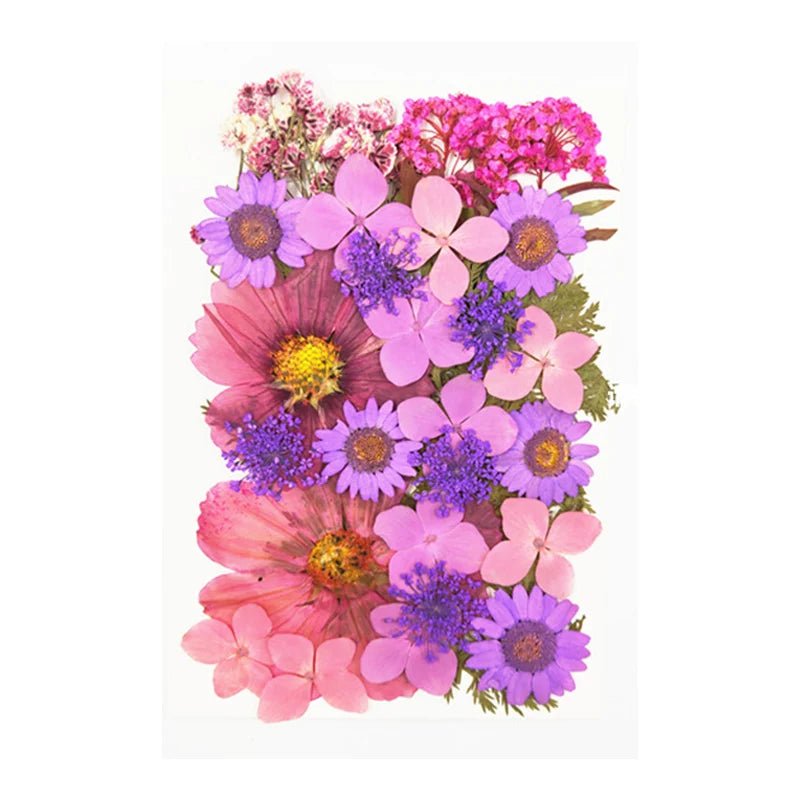 Dried Flowers Real Natural Plant Pressed Flower For Epoxy Resin Filling DIY Keychain Pendant Silicone Mold Jewelry Making Crafts - Paola Center