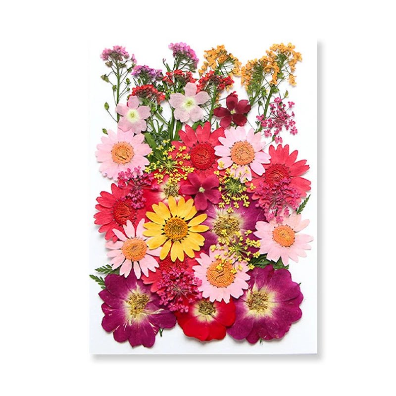 Dried Flowers Real Natural Plant Pressed Flower For Epoxy Resin Filling DIY Keychain Pendant Silicone Mold Jewelry Making Crafts - Paola Center