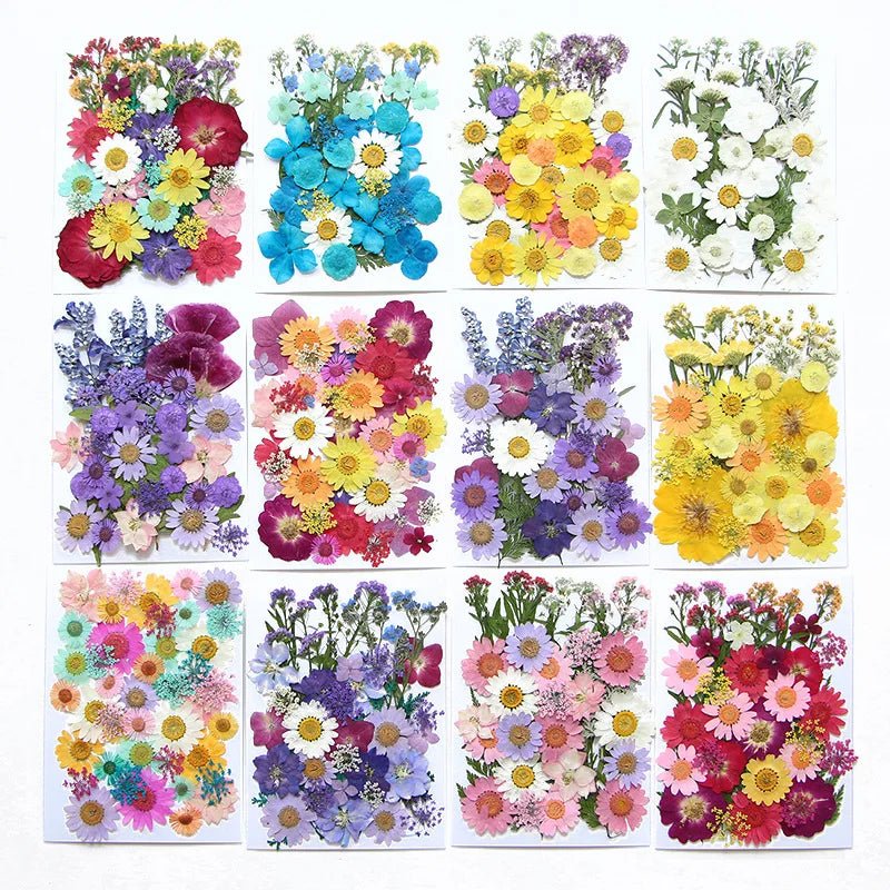 Dried Flowers Real Natural Plant Pressed Flower For Epoxy Resin Filling DIY Keychain Pendant Silicone Mold Jewelry Making Crafts - Paola Center