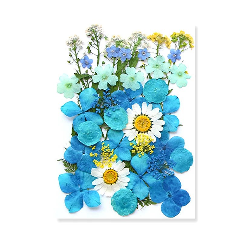 Dried Flowers Real Natural Plant Pressed Flower For Epoxy Resin Filling DIY Keychain Pendant Silicone Mold Jewelry Making Crafts - Paola Center