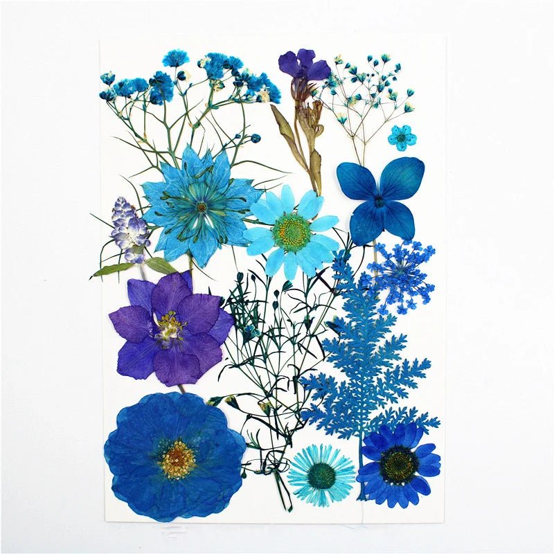 Dried Flowers Real Natural Plant Pressed Flower For Epoxy Resin Filling DIY Keychain Pendant Silicone Mold Jewelry Making Crafts - Paola Center