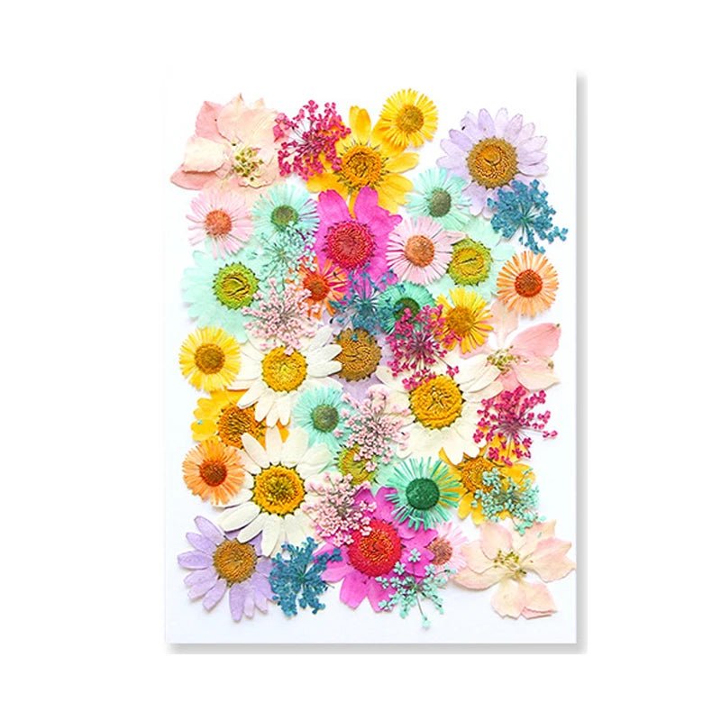 Dried Flowers Real Natural Plant Pressed Flower For Epoxy Resin Filling DIY Keychain Pendant Silicone Mold Jewelry Making Crafts - Paola Center