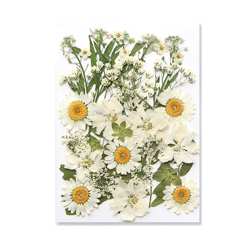 Dried Flowers Real Natural Plant Pressed Flower For Epoxy Resin Filling DIY Keychain Pendant Silicone Mold Jewelry Making Crafts - Paola Center