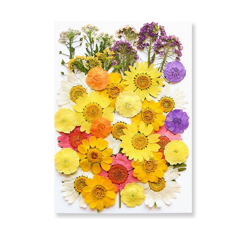 Dried Flowers Real Natural Plant Pressed Flower For Epoxy Resin Filling DIY Keychain Pendant Silicone Mold Jewelry Making Crafts - Paola Center
