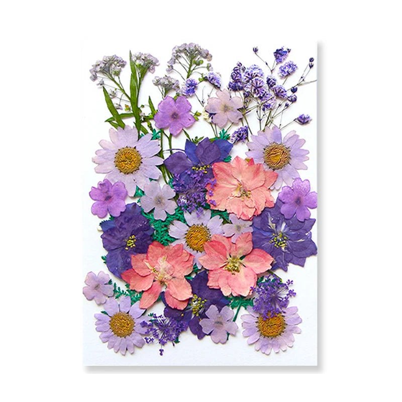 Dried Flowers Real Natural Plant Pressed Flower For Epoxy Resin Filling DIY Keychain Pendant Silicone Mold Jewelry Making Crafts - Paola Center