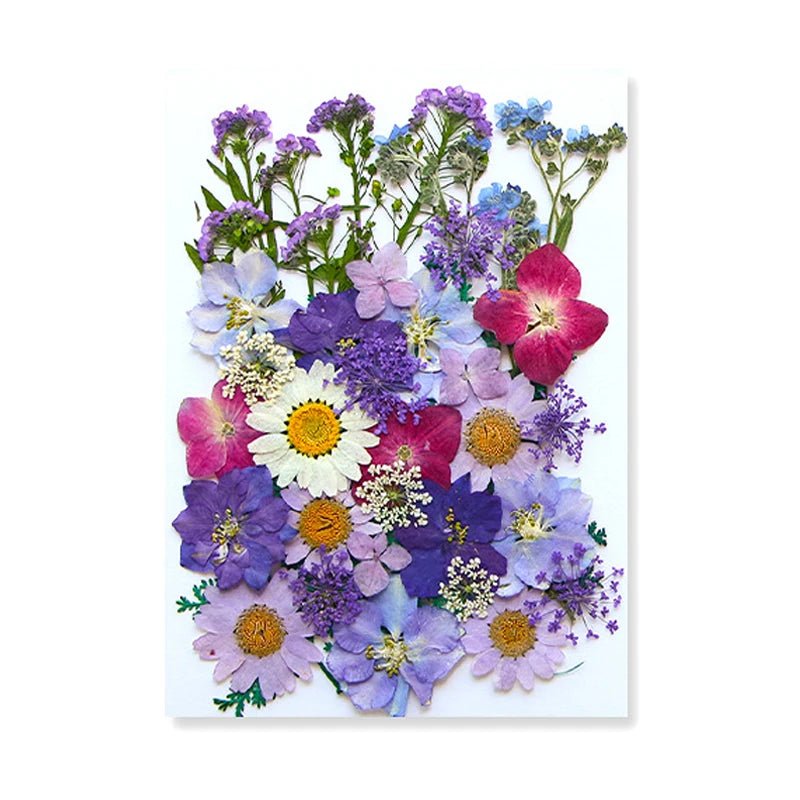 Dried Flowers Real Natural Plant Pressed Flower For Epoxy Resin Filling DIY Keychain Pendant Silicone Mold Jewelry Making Crafts - Paola Center