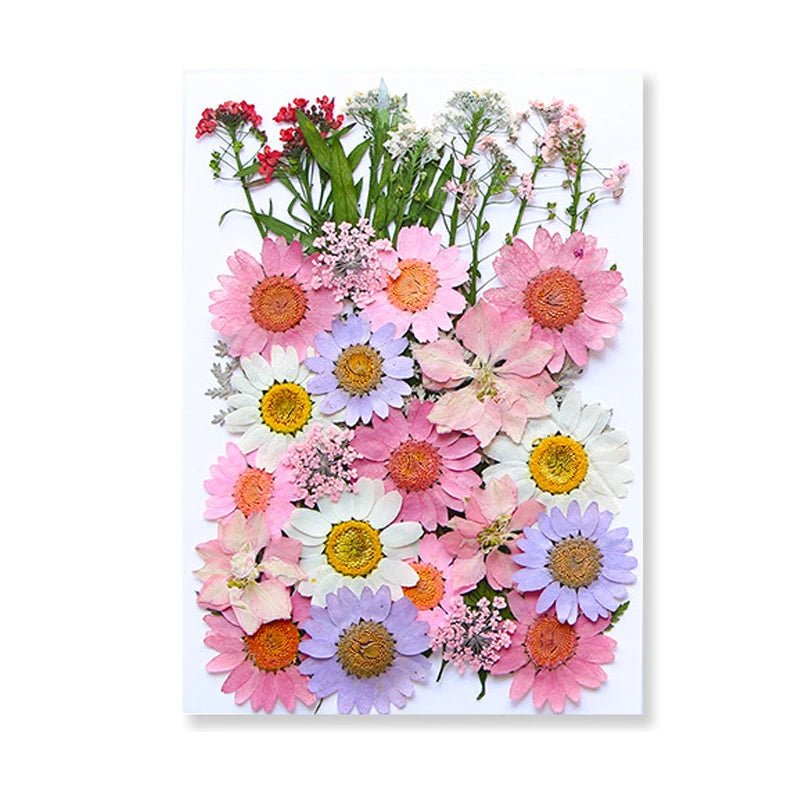 Dried Flowers Real Natural Plant Pressed Flower For Epoxy Resin Filling DIY Keychain Pendant Silicone Mold Jewelry Making Crafts - Paola Center