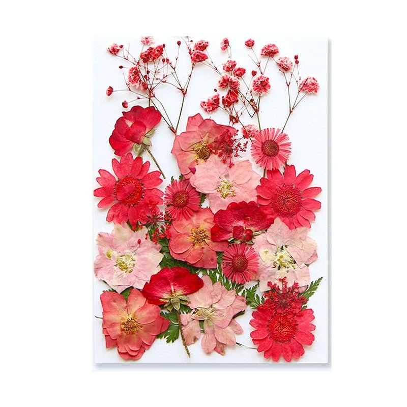 Dried Flowers Real Natural Plant Pressed Flower For Epoxy Resin Filling DIY Keychain Pendant Silicone Mold Jewelry Making Crafts - Paola Center