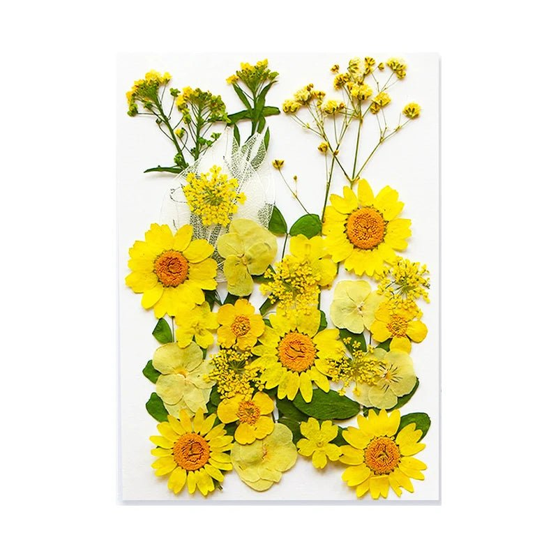 Dried Flowers Real Natural Plant Pressed Flower For Epoxy Resin Filling DIY Keychain Pendant Silicone Mold Jewelry Making Crafts - Paola Center