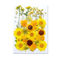 Dried Flowers Real Natural Plant Pressed Flower For Epoxy Resin Filling DIY Keychain Pendant Silicone Mold Jewelry Making Crafts - Paola Center