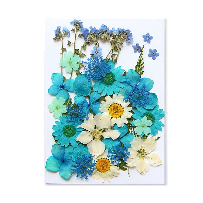 Dried Flowers Real Natural Plant Pressed Flower For Epoxy Resin Filling DIY Keychain Pendant Silicone Mold Jewelry Making Crafts - Paola Center