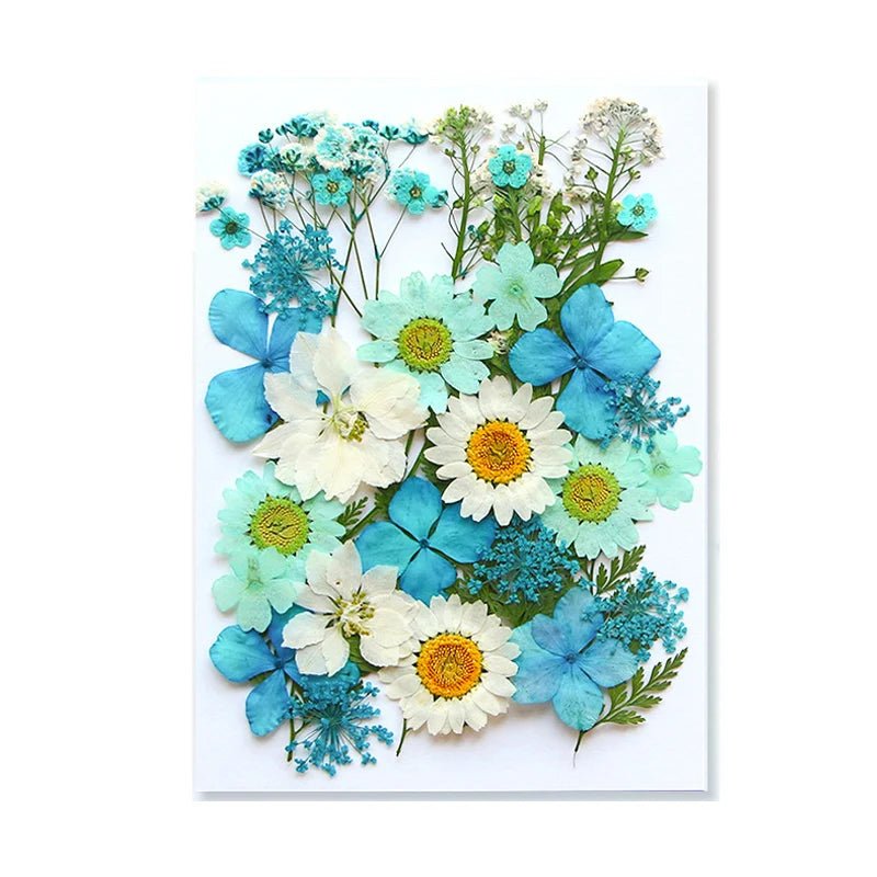 Dried Flowers Real Natural Plant Pressed Flower For Epoxy Resin Filling DIY Keychain Pendant Silicone Mold Jewelry Making Crafts - Paola Center