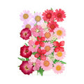 Dried Flowers Real Natural Plant Pressed Flower For Epoxy Resin Filling DIY Keychain Pendant Silicone Mold Jewelry Making Crafts - Paola Center
