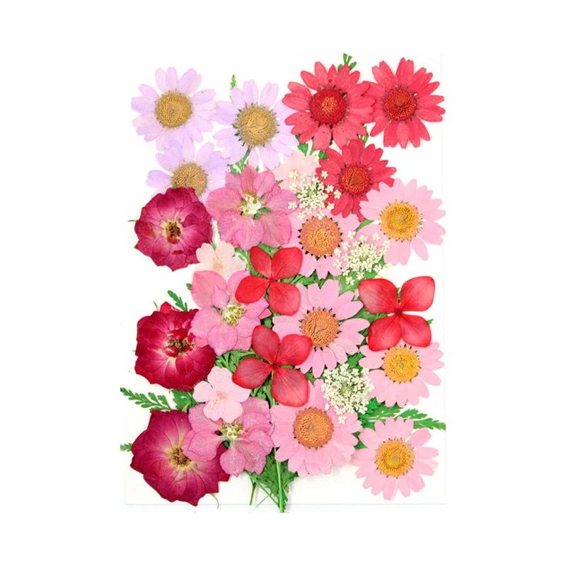 Dried Flowers Real Natural Plant Pressed Flower For Epoxy Resin Filling DIY Keychain Pendant Silicone Mold Jewelry Making Crafts - Paola Center