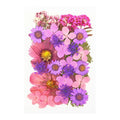Dried Flowers Real Natural Plant Pressed Flower For Epoxy Resin Filling DIY Keychain Pendant Silicone Mold Jewelry Making Crafts - Paola Center