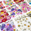 Dried Flowers Real Natural Plant Pressed Flower For Epoxy Resin Filling DIY Keychain Pendant Silicone Mold Jewelry Making Crafts - Paola Center